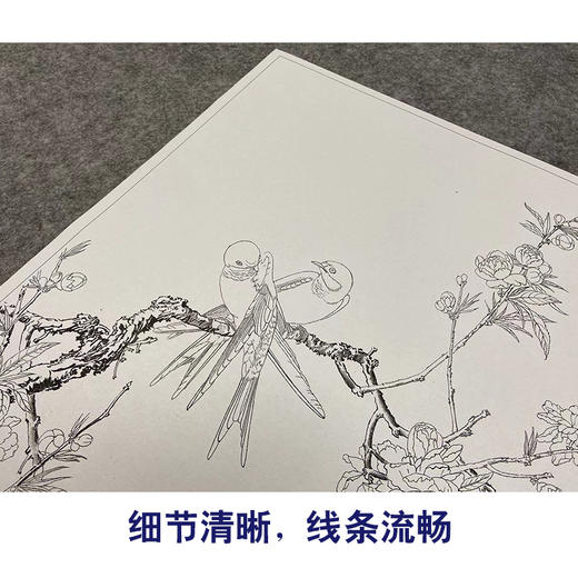 【大彩图】郎世宁工笔画白描底稿小品《仙萼长春册》桃花临摹勾线高清打印稿LT02 商品图4