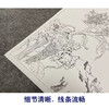 【大彩图】郎世宁工笔画白描底稿小品《仙萼长春册》鸡冠花临摹勾线花鸟线稿LT15 商品缩略图4