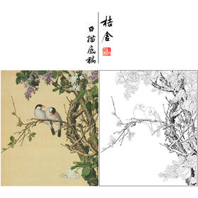 【大彩图】郎世宁工笔画白描底稿小品《仙萼长春册》紫白丁香临摹勾线高清打印稿LT10