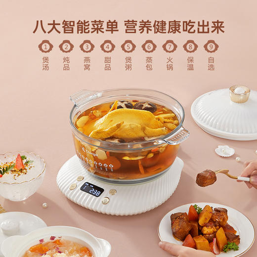 长帝养生锅电炖锅炖盅隔水炖家用煮粥神器陶瓷煲汤锅燕窝专用炖盅 商品图1