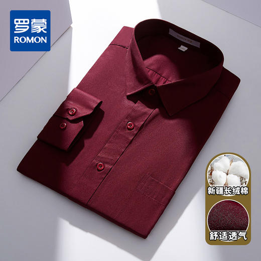 【专柜定制款】罗蒙春夏男士正装商务通勤职业装长袖衬衫棉质男衬衣 商品图3