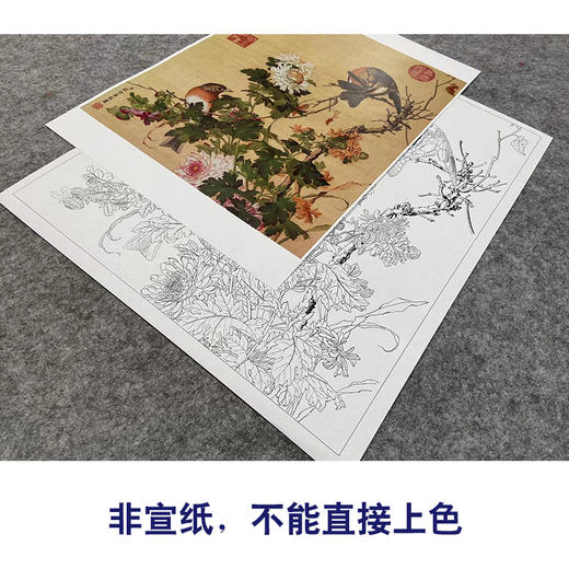 【大彩图】郎世宁工笔画白描底稿小品《仙萼长春册》菊花临摹勾线高清打印稿LT16 商品图2
