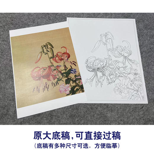 【大彩图】郎世宁工笔画白描底稿小品《仙萼长春册》百合花与缠枝牡丹临摹勾线高清打印稿LT11 商品图1