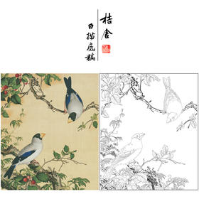 【大彩图】郎世宁工笔画白描底稿小品《仙萼长春册》樱桃临摹勾线高清打印稿LT08