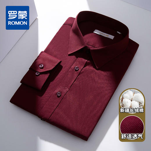 【专柜定制款】罗蒙春夏男装长袖衬衫男士正装商务通勤百搭棉质衬衣男 商品图3