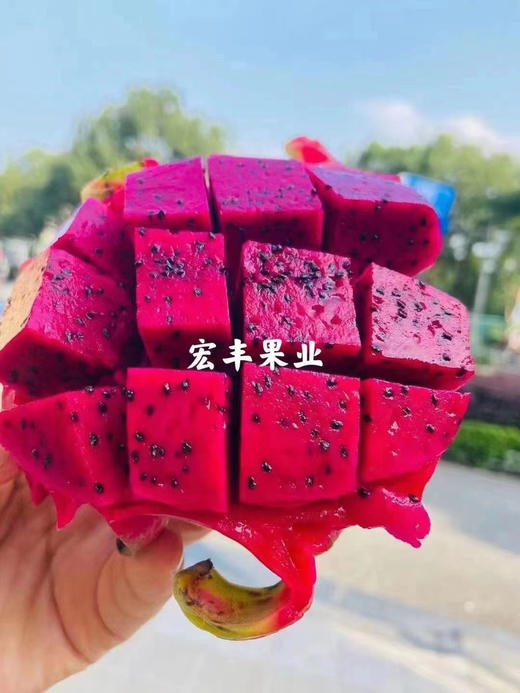 宏丰精选 越南红心火龙果 口感不错 火龙果怕热 一定及时放冰箱哦  活动价9.9元一斤 商品图12