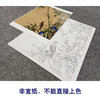 【大彩图】郎世宁工笔画白描底稿小品《仙萼长春册》翠竹牵牛花临摹勾线高清打印稿LT12 商品缩略图2