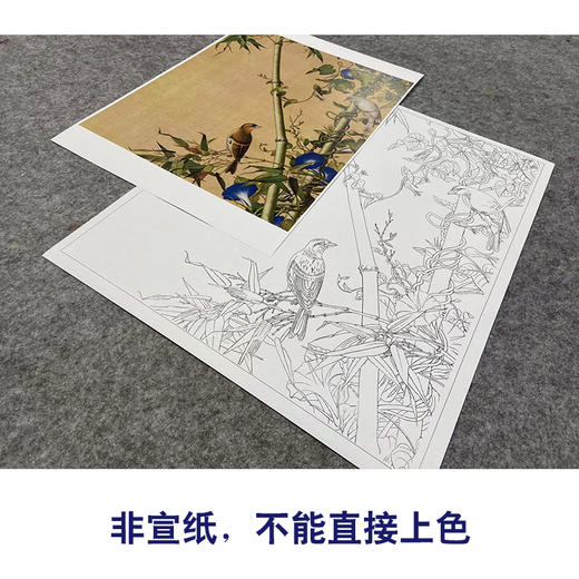 【大彩图】郎世宁工笔画白描底稿小品《仙萼长春册》翠竹牵牛花临摹勾线高清打印稿LT12 商品图2