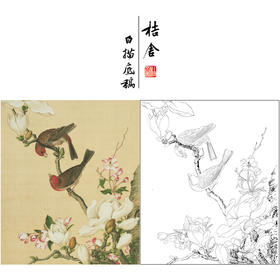 【大彩图】郎世宁工笔画白描底稿小品《仙萼长春册》海棠与玉兰临摹勾线高清打印稿LT04