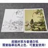 【大彩图】郎世宁工笔画白描底稿小品《仙萼长春册》豆花临摹勾线高清打印稿LT14 商品缩略图3