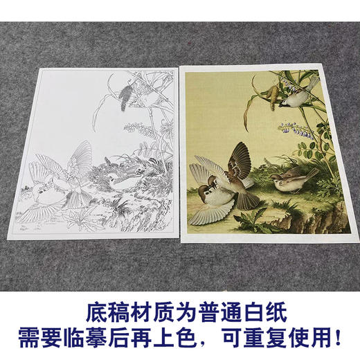 【大彩图】郎世宁工笔画白描底稿小品《仙萼长春册》豆花临摹勾线高清打印稿LT14 商品图3