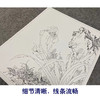 【大彩图】郎世宁工笔画白描底稿小品《仙萼长春册》石竹临摹勾线高清打印稿LT07 商品缩略图4