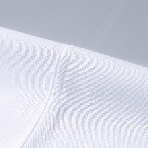 【专柜定制款】罗蒙春夏男士正装商务通勤职业装长袖衬衫棉质男衬衣 商品图10