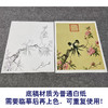 【大彩图】郎世宁工笔画白描底稿小品《仙萼长春册》桃花临摹勾线高清打印稿LT02 商品缩略图3