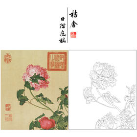 【大彩图】郎世宁工笔画白描底稿小品《仙萼长春册》牡丹临摹勾线高清打印稿LT01