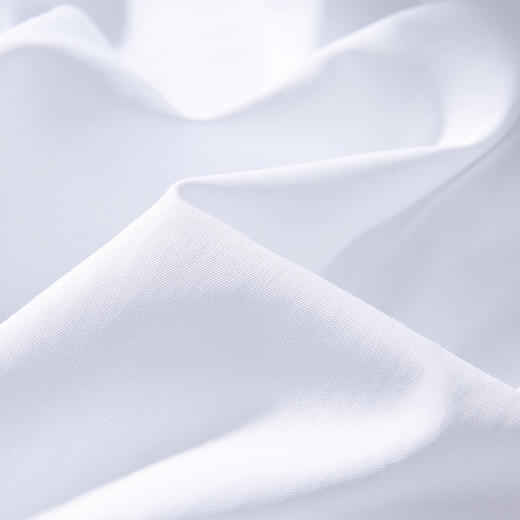 【专柜定制款】罗蒙春夏男士正装商务通勤职业装长袖衬衫棉质男衬衣 商品图12