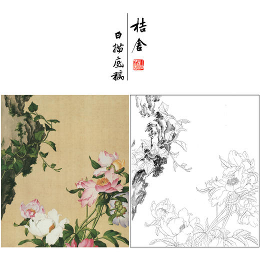 【大彩图】郎世宁工笔画白描底稿《仙萼长春册》芍药临摹勾线高清打印稿LT03 商品图0