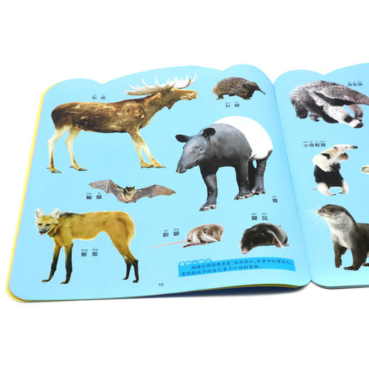 动物大全(2-5岁适用)/聪明宝宝看大书 商品图3
