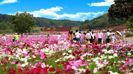 湖北宜昌枝江东方年华景区门票 商品图4