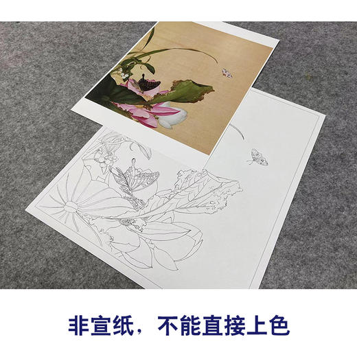 【大彩图】郎世宁工笔画白描底稿《仙萼长春册》荷花与慈姑花临摹勾线高清打印稿LT13 商品图2