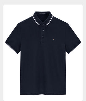 太平鸟男装 新款商务休闲修身POLO保罗衫潮B1DBB2605