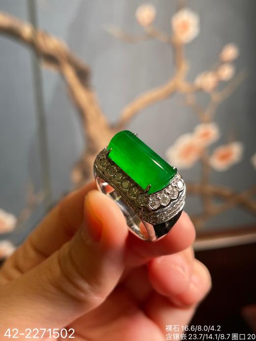 老坑玻璃艳绿马鞍戒指【42-2271502】具体价格微信咨询 商品图7