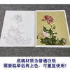 【大彩图】郎世宁工笔画白描底稿小品《仙萼长春册》罂粟临摹勾线高清打印稿LT09 商品缩略图3