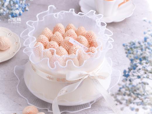 最可爱的我们（women） 商品图1