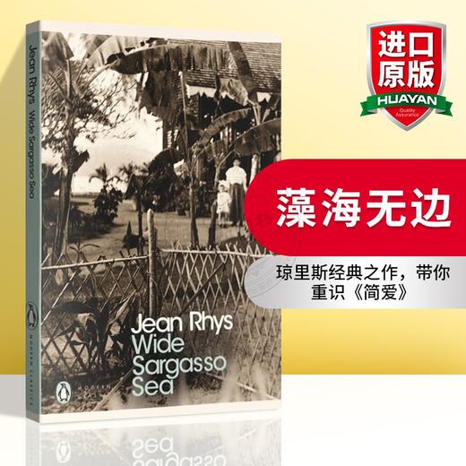 藻海无边 英文原版小说 Wide Sargasso Sea 茫茫藻海 英文版 简爱前传 Jean Rhys 正版进书籍 商品图0
