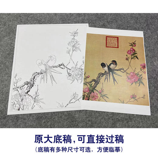 【大彩图】郎世宁工笔画白描底稿小品《仙萼长春册》桃花临摹勾线高清打印稿LT02 商品图1