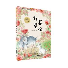 王一梅纯美童话 彩绘注音版