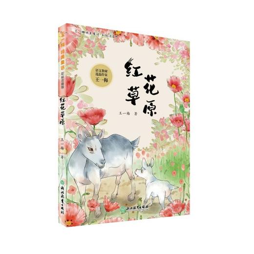 王一梅纯美童话 彩绘注音版 商品图0