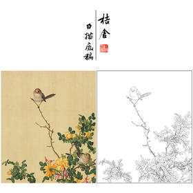 【大彩图】郎世宁工笔画白描底稿小品《仙萼长春册》黄刺蘼鱼儿牡丹临摹勾线高清打印稿LT06