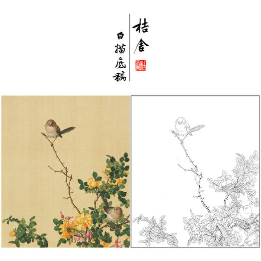 【大彩图】郎世宁工笔画白描底稿小品《仙萼长春册》黄刺蘼鱼儿牡丹临摹勾线高清打印稿LT06 商品图0