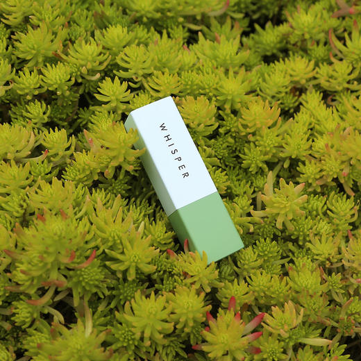 植想说 乳木果滋润护唇口红 3.5g/支 商品图1