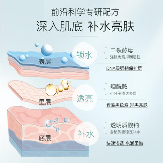 【双12大促】嘉媚乐烟酰胺精油嫩肤霜  沙漠肌本命  深层补水 商品图2