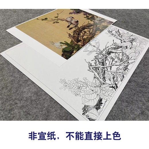 【大彩图】郎世宁工笔画白描底稿小品《仙萼长春册》紫白丁香临摹勾线高清打印稿LT10 商品图2