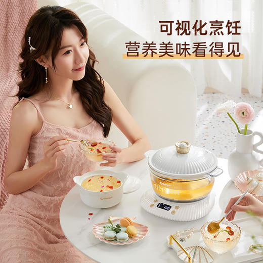 长帝养生锅电炖锅炖盅隔水炖家用煮粥神器陶瓷煲汤锅燕窝专用炖盅 商品图3