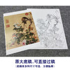 【大彩图】郎世宁工笔画白描底稿小品《仙萼长春册》菊花临摹勾线高清打印稿LT16 商品缩略图1