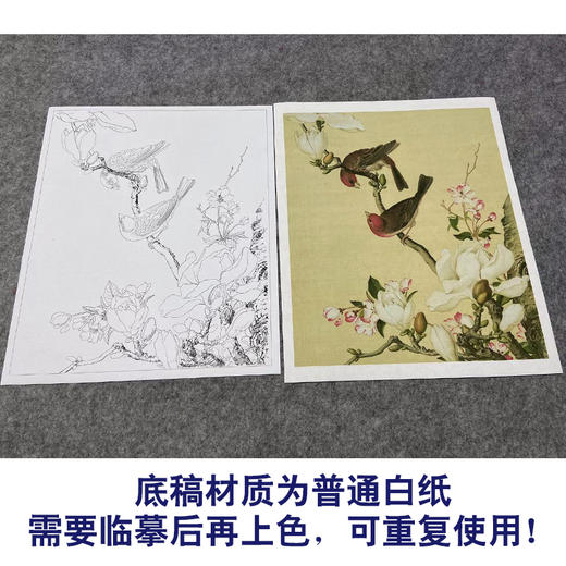 【大彩图】郎世宁工笔画白描底稿小品《仙萼长春册》海棠与玉兰临摹勾线高清打印稿LT04 商品图3