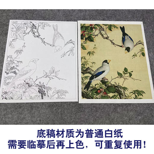 【大彩图】郎世宁工笔画白描底稿小品《仙萼长春册》樱桃临摹勾线高清打印稿LT08 商品图3