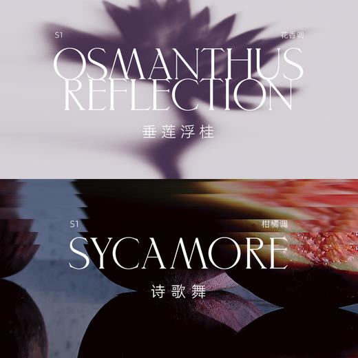 白标系列试香瓶礼袋（2ml*5） 商品图3