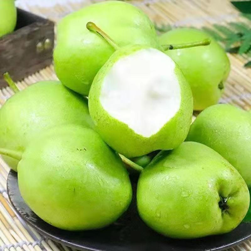 【惊蛰套餐 】绿梨 鸭梨 雪梨10斤/份,润肺止咳,远离新冠(每天晚上18