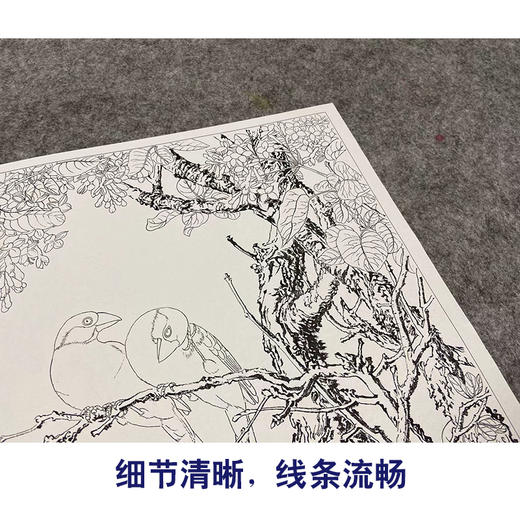 【大彩图】郎世宁工笔画白描底稿小品《仙萼长春册》紫白丁香临摹勾线高清打印稿LT10 商品图4