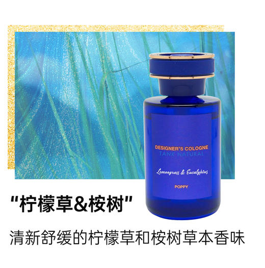 日本DIAX 车载古龙液体香氛 商品图5