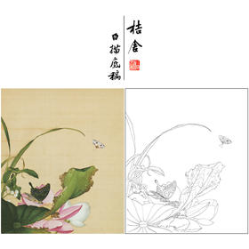 【大彩图】郎世宁工笔画白描底稿《仙萼长春册》荷花与慈姑花临摹勾线高清打印稿LT13