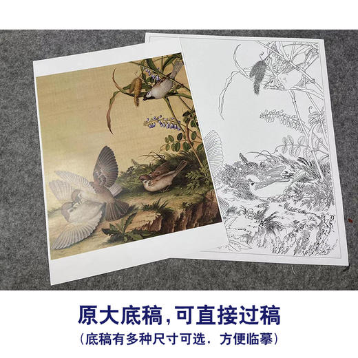 【大彩图】郎世宁工笔画白描底稿小品《仙萼长春册》豆花临摹勾线高清打印稿LT14 商品图1