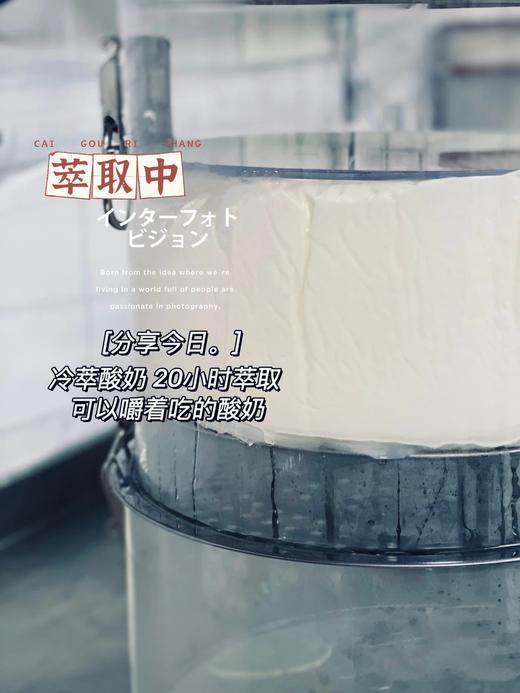 手工冷萃酸奶 商品图3