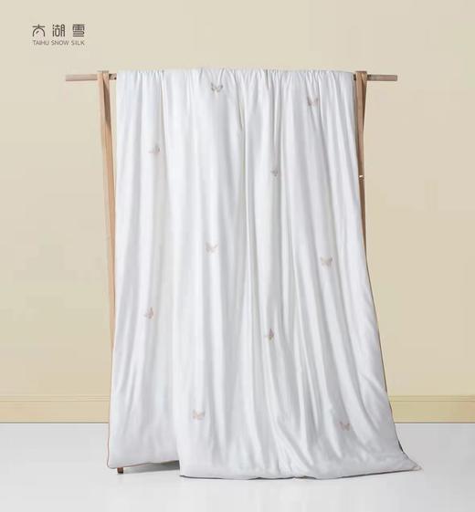 太湖雪蝶语江南3斤蚕丝被 商品图4