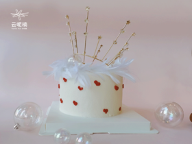 心羽星愿（微加高）